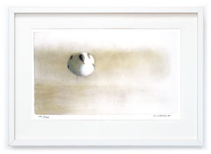 Art print pied avocet